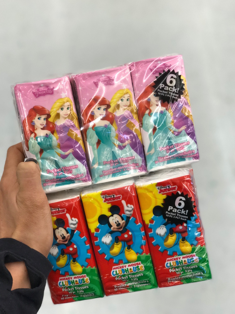14 Dollar Store MUST-BUY Items for a Disney Vacation - Mama Cheaps®