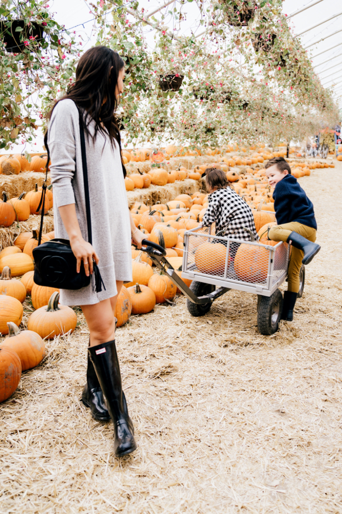 Fall Family Traditions