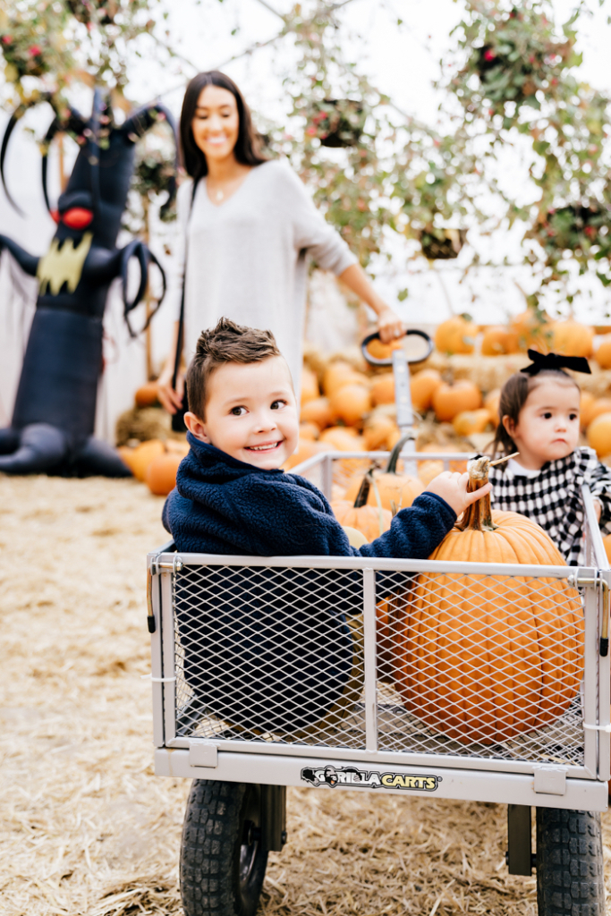 Fall Family Traditions